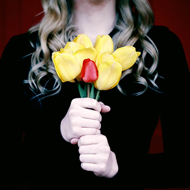 yellow-red-tulips_640